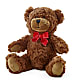 Adorable Plush Bear – LATE BLOOMERS FLORAL & GIFT LLC, Willmar MN