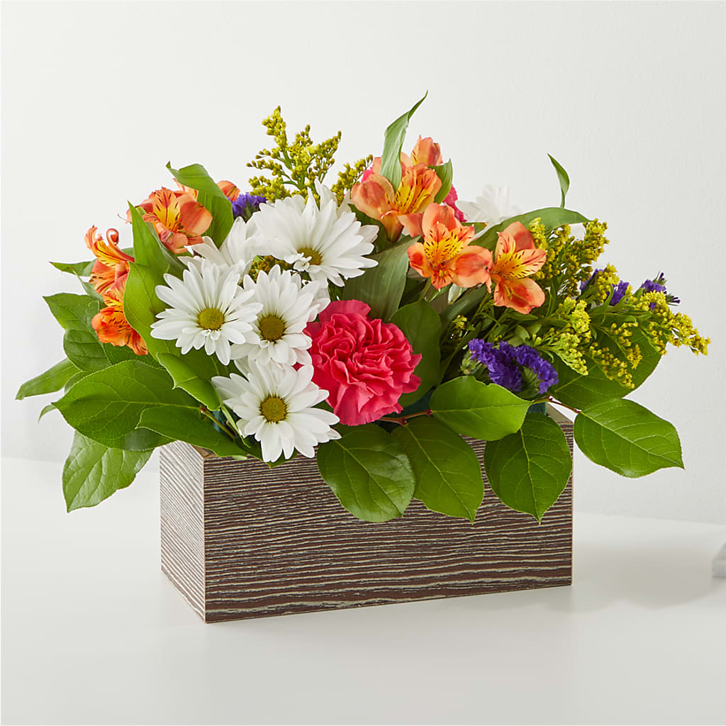 Oopsie Daisy Box Bouquet – LATE BLOOMERS FLORAL & GIFT LLC, Willmar MN