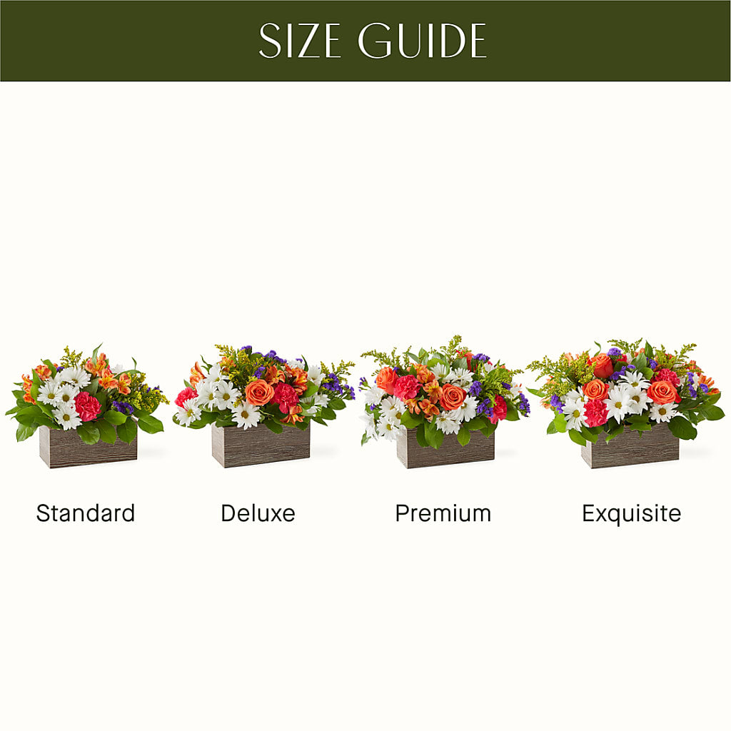 Oopsie Daisy Box Bouquet – LATE BLOOMERS FLORAL & GIFT LLC, Willmar MN