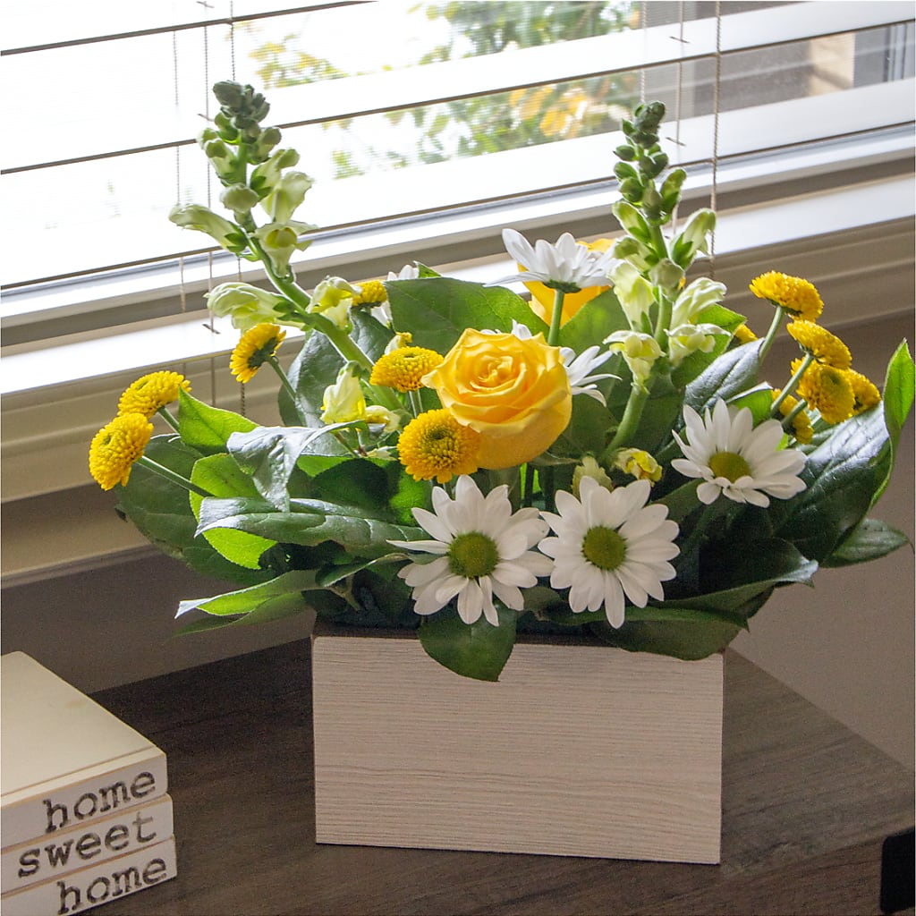 Sun Salutation Box Bouquet – LATE BLOOMERS FLORAL & GIFT LLC, Willmar MN