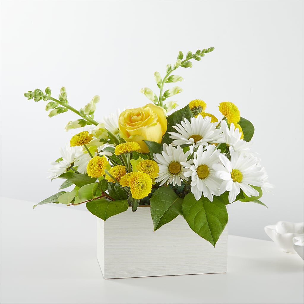 Sun Salutation Box Bouquet – LATE BLOOMERS FLORAL & GIFT LLC, Willmar MN