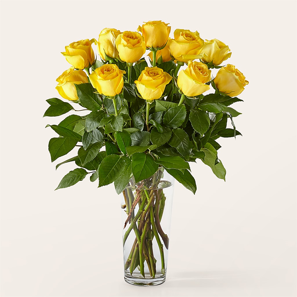 Long Stem Yellow Rose Bouquet – LATE BLOOMERS FLORAL & GIFT LLC, Willmar MN