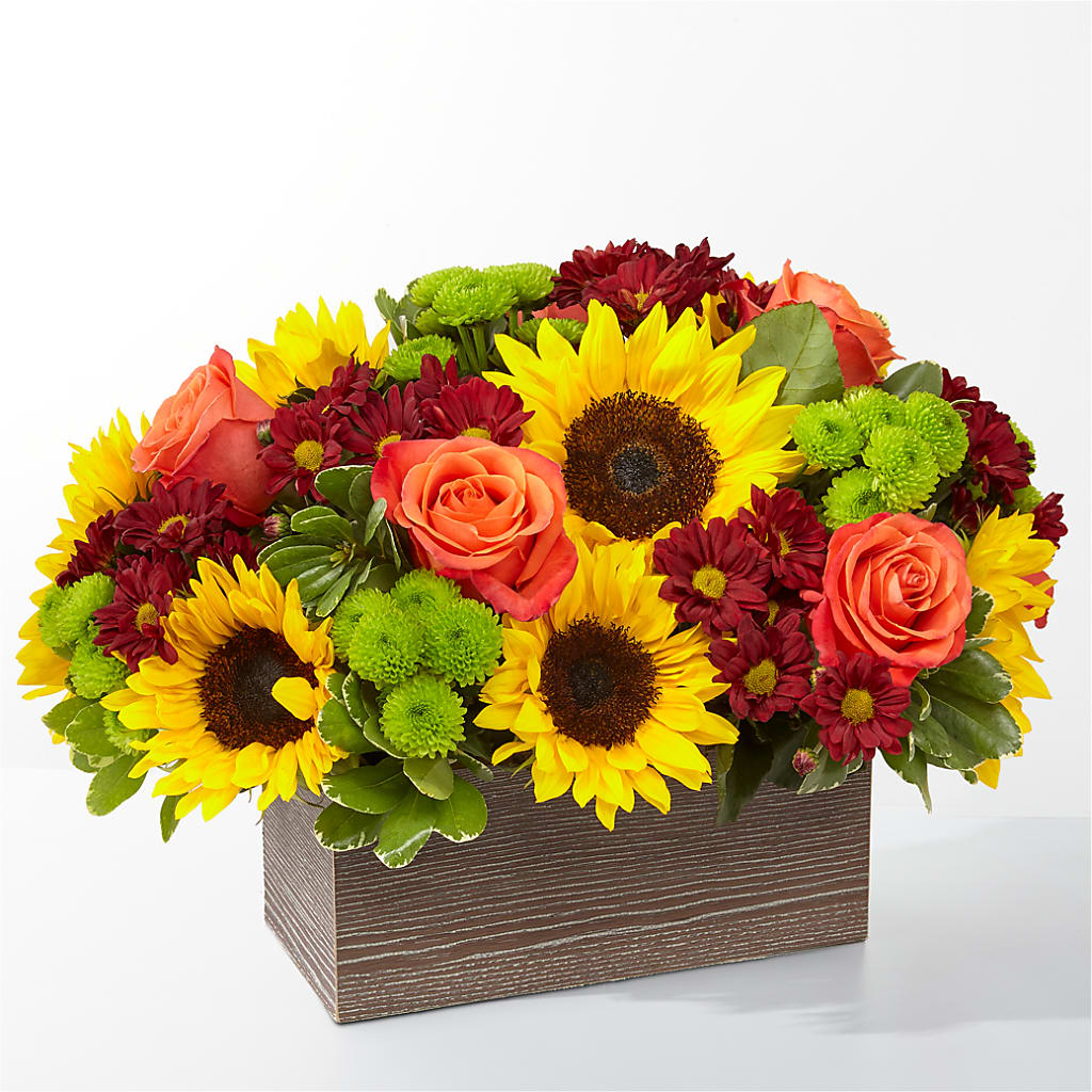 Happy Harvest Garden – LATE BLOOMERS FLORAL & GIFT LLC, Willmar MN