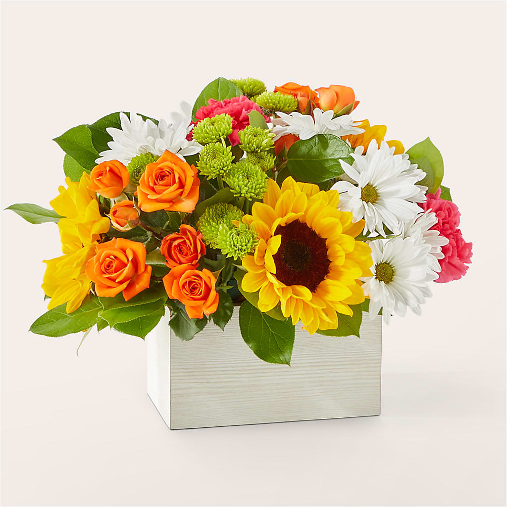 Sun-drenched Blooms Box Bouquet – LATE BLOOMERS FLORAL & GIFT LLC, Willmar MN