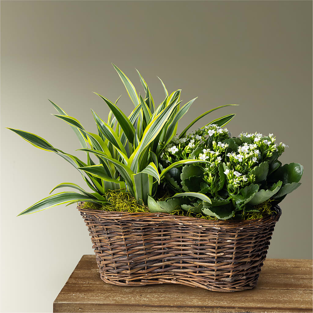 Blooming Garden – LATE BLOOMERS FLORAL & GIFT LLC, Willmar MN