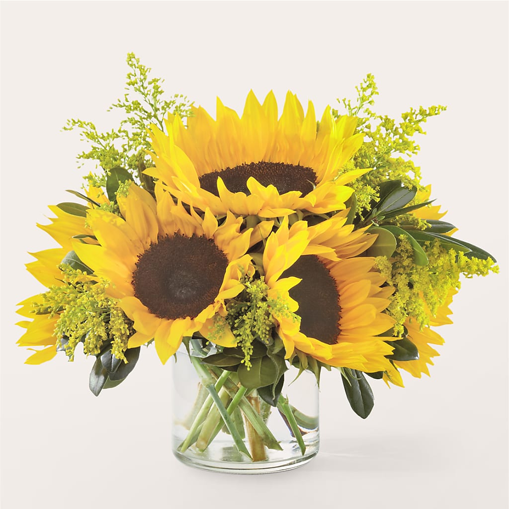 Beaming Sunflower Bouquet – LATE BLOOMERS FLORAL & GIFT LLC, Willmar MN