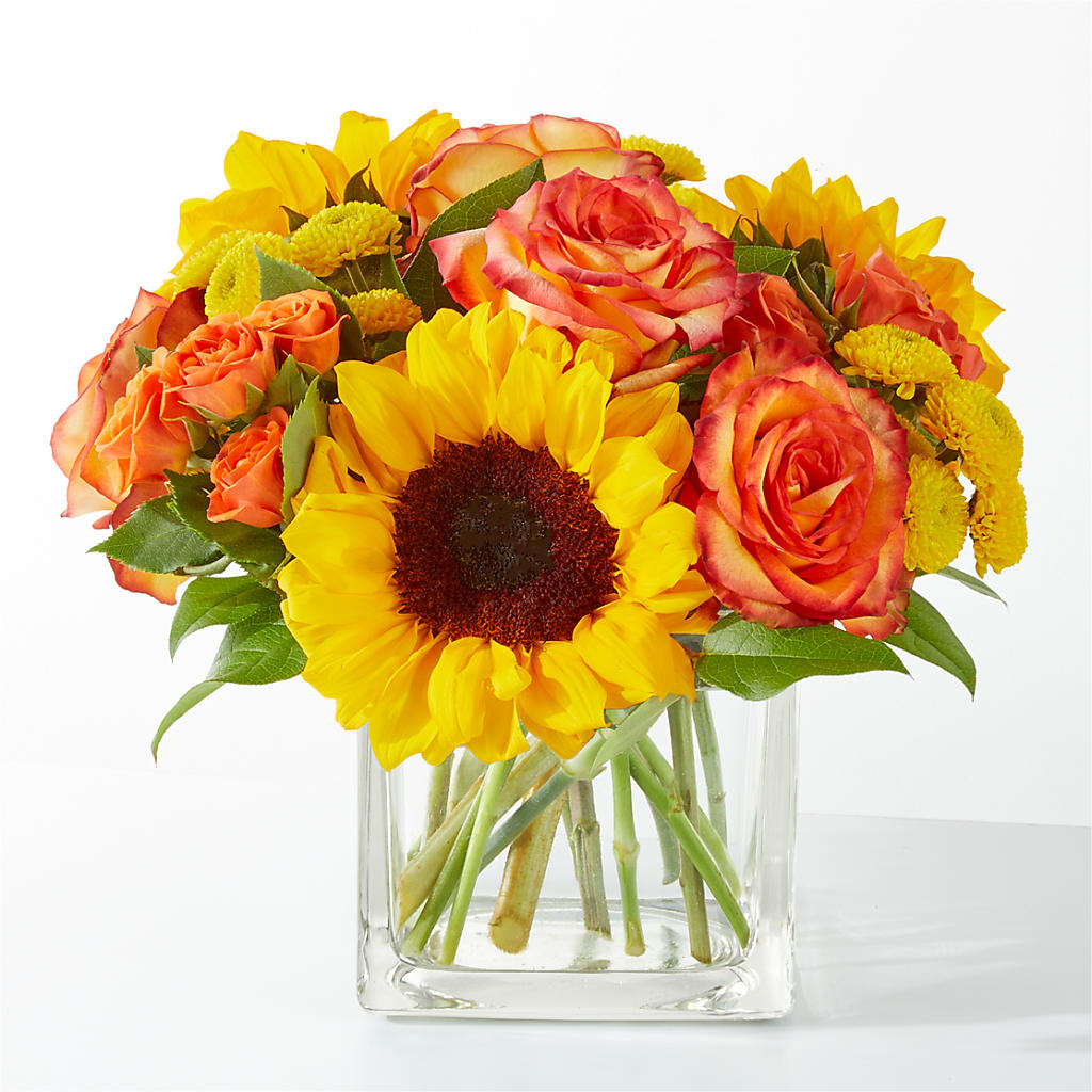 Picnic in the Park Bouquet – LATE BLOOMERS FLORAL & GIFT LLC, Willmar MN