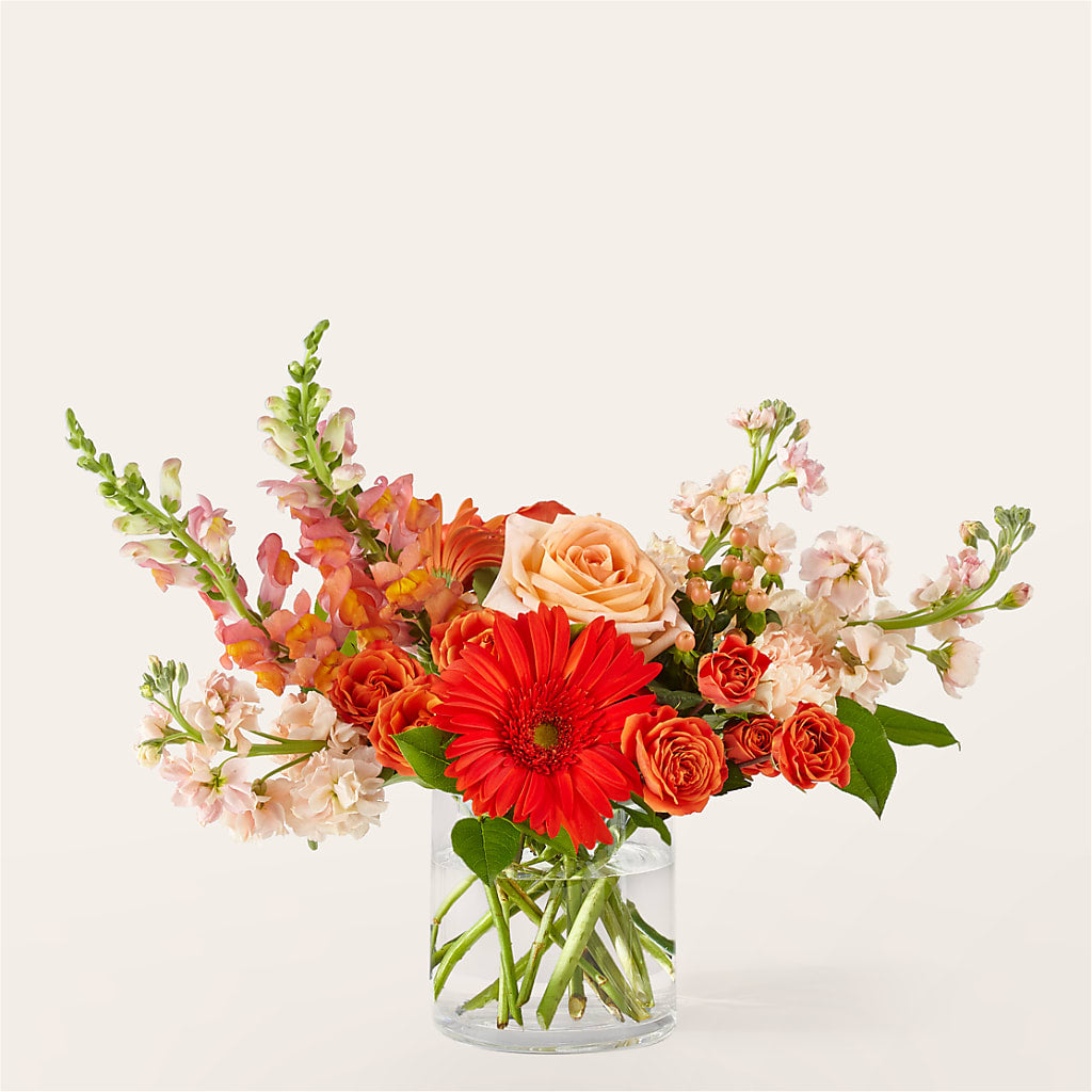 Paloma Please Bouquet – LATE BLOOMERS FLORAL & GIFT LLC, Willmar MN