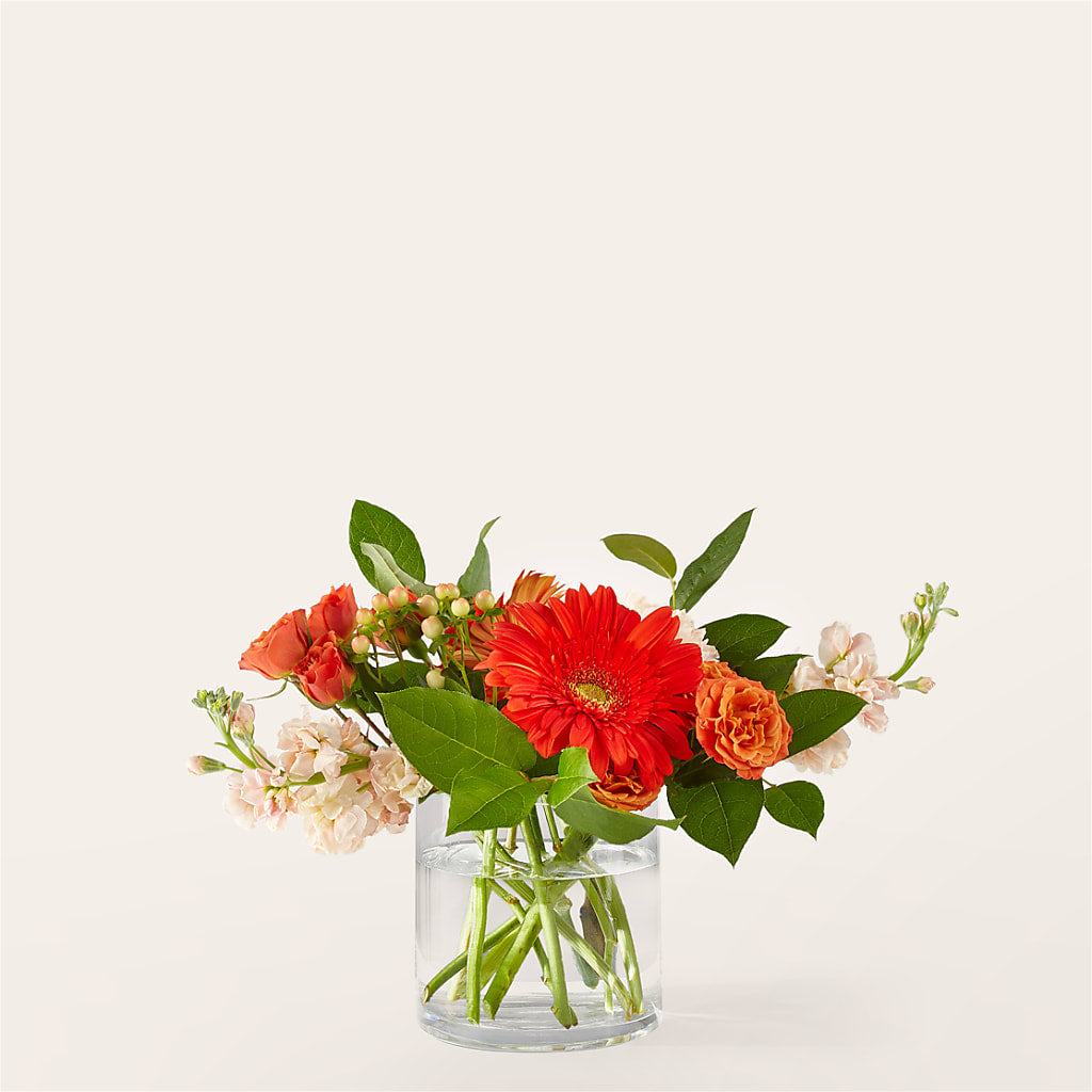 Paloma Please Bouquet – LATE BLOOMERS FLORAL & GIFT LLC, Willmar MN