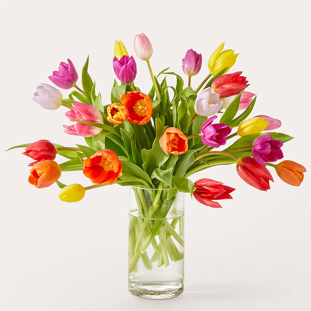 Let's Talk Tulips Bouquet – LATE BLOOMERS FLORAL & GIFT LLC, Willmar MN