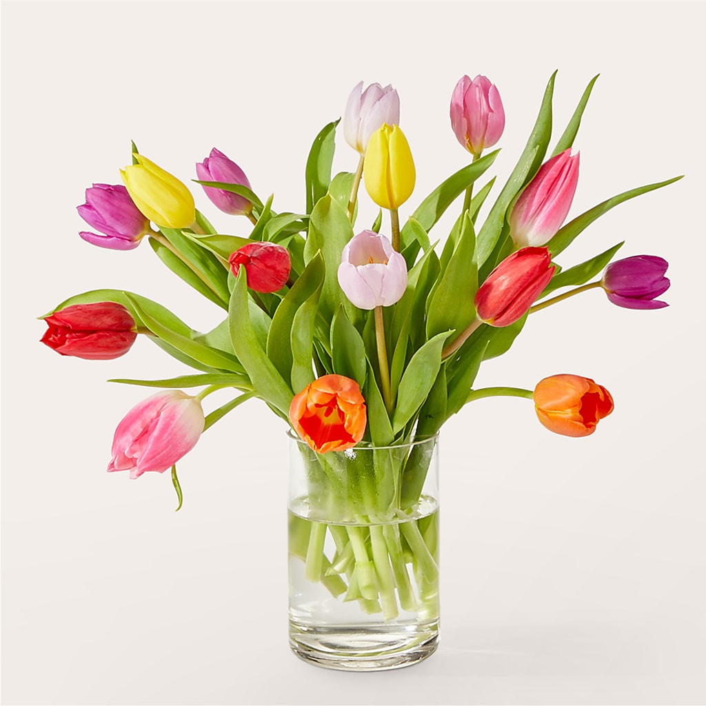 Let's Talk Tulips Bouquet – LATE BLOOMERS FLORAL & GIFT LLC, Willmar MN