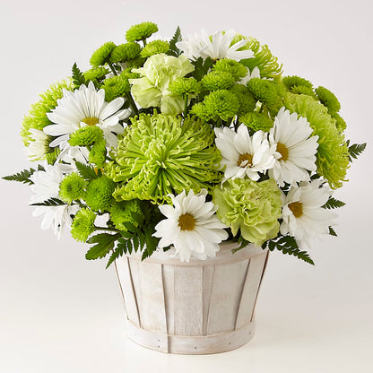 Lucky Charm Basket (Standard) – LATE BLOOMERS FLORAL & GIFT LLC, Willmar MN