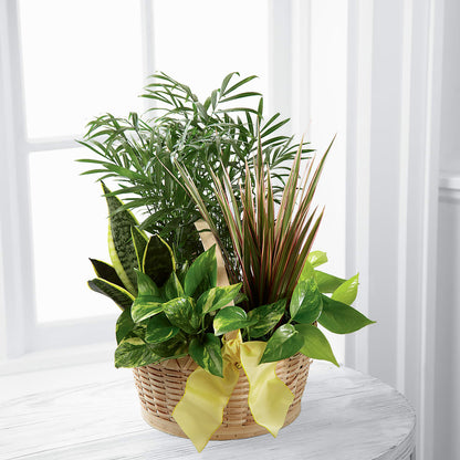 French Garden – LATE BLOOMERS FLORAL & GIFT LLC, Willmar MN