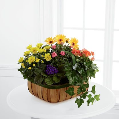 Gentle Blossoms Basket – LATE BLOOMERS FLORAL & GIFT LLC, Willmar MN