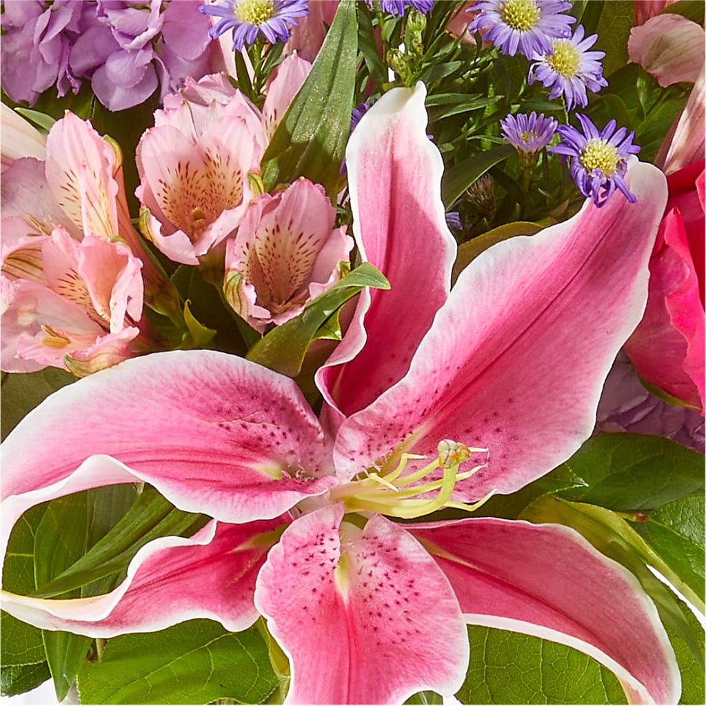 Written in the Stars Bouquet – LATE BLOOMERS FLORAL & GIFT LLC, Willmar MN