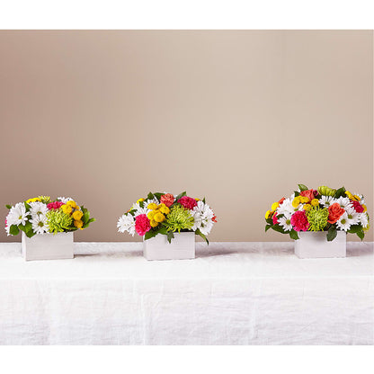 Sorbet Bouquet – LATE BLOOMERS FLORAL & GIFT LLC, Willmar MN