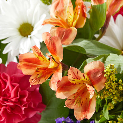 Oopsie Daisy Box Bouquet – LATE BLOOMERS FLORAL & GIFT LLC, Willmar MN