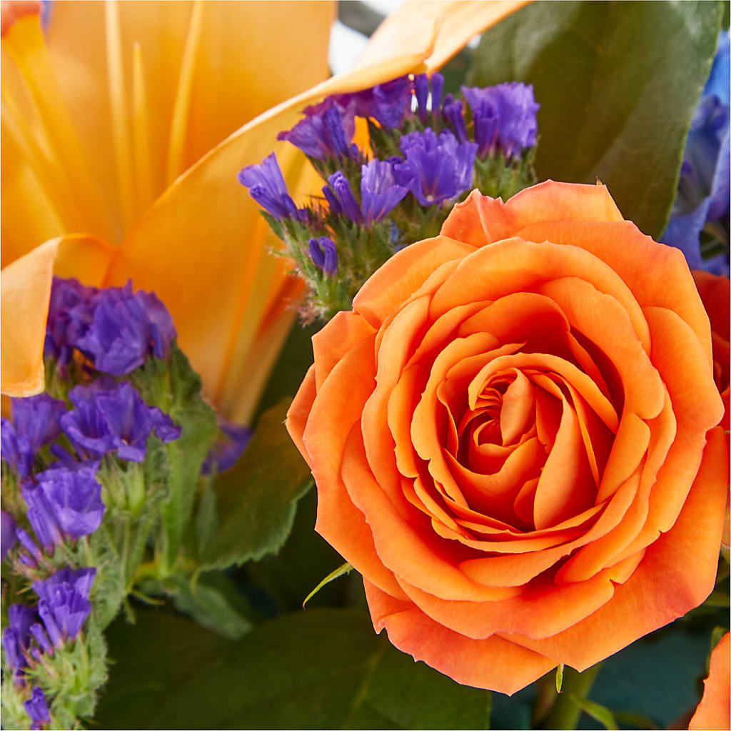 Radiant Citrus Box Bouquet – LATE BLOOMERS FLORAL & GIFT LLC, Willmar MN