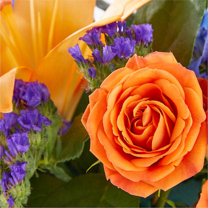 Radiant Citrus Box Bouquet – LATE BLOOMERS FLORAL & GIFT LLC, Willmar MN