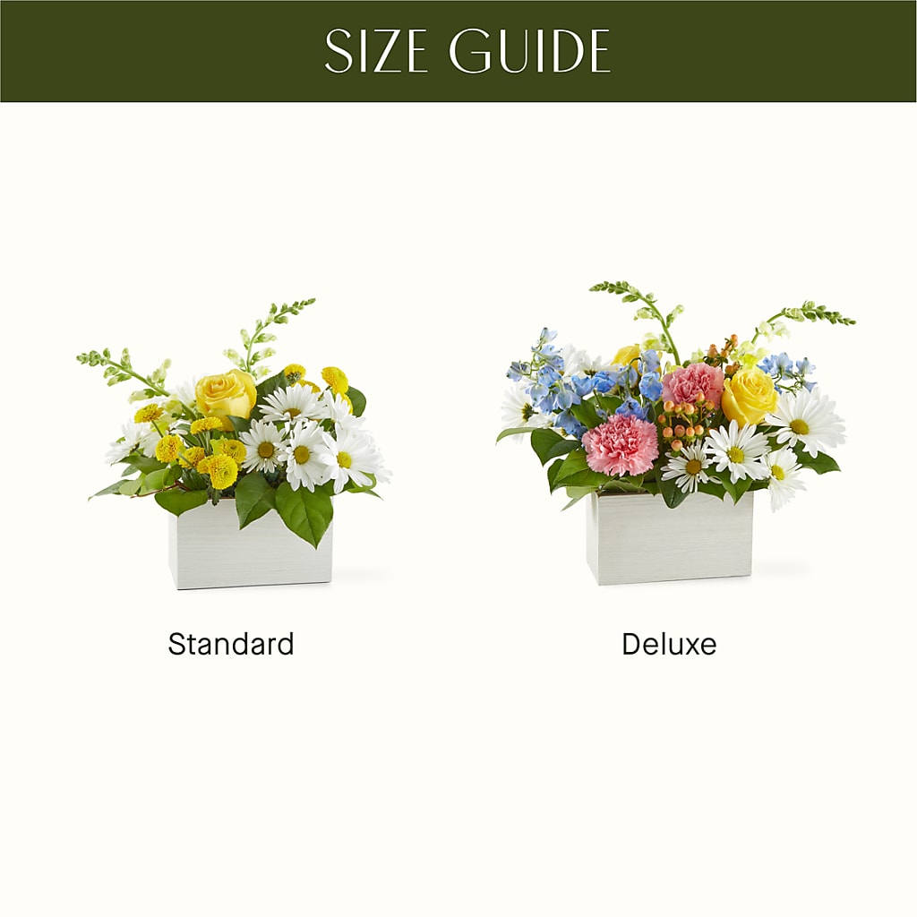 Sun Salutation Box Bouquet – LATE BLOOMERS FLORAL & GIFT LLC, Willmar MN