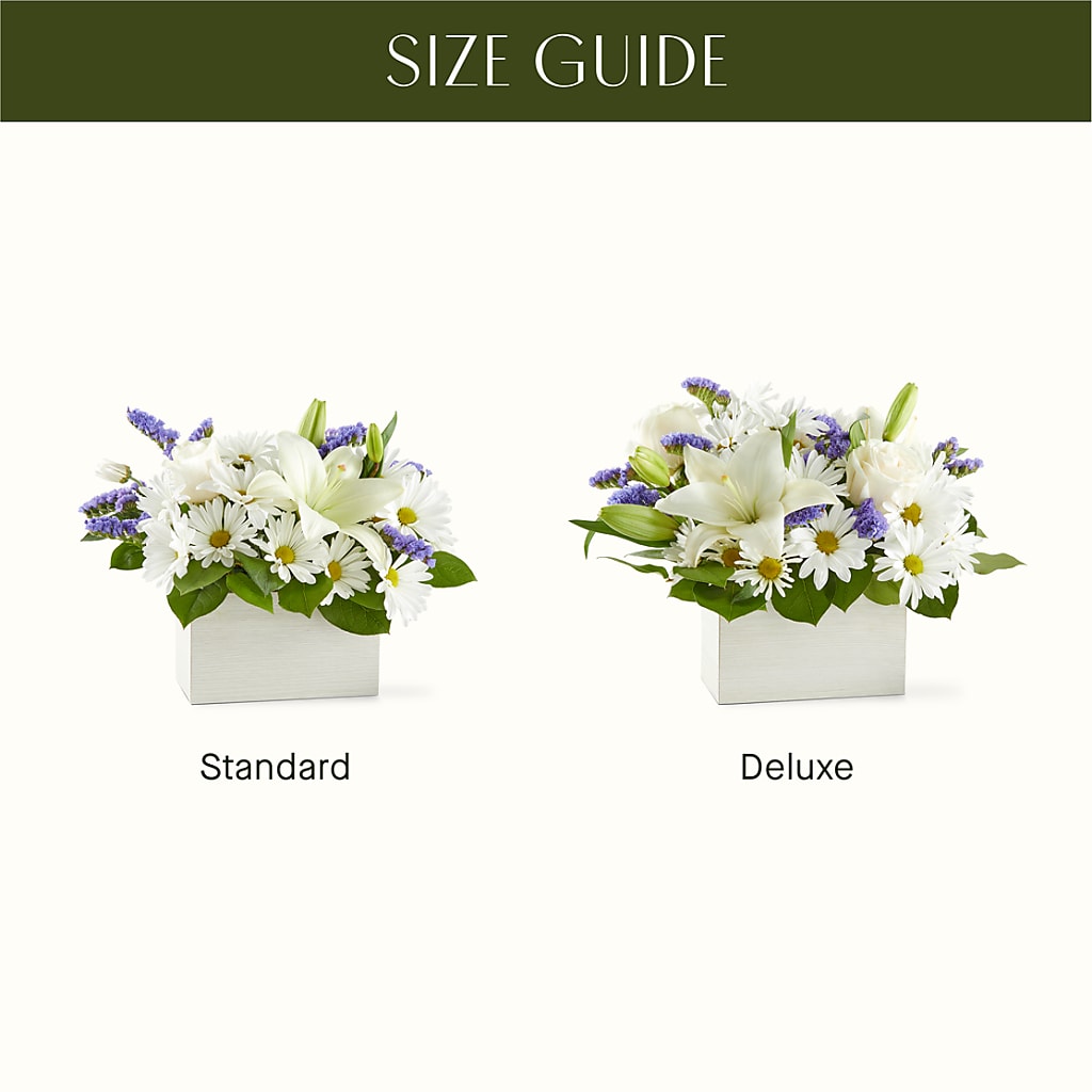 Beyond Blue Box Bouquet – LATE BLOOMERS FLORAL & GIFT LLC, Willmar MN