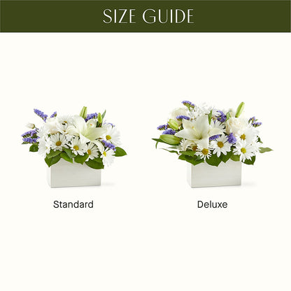 Beyond Blue Box Bouquet – LATE BLOOMERS FLORAL & GIFT LLC, Willmar MN