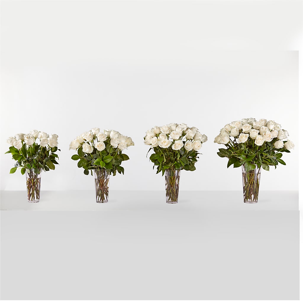 Long Stem White Rose Bouquet – LATE BLOOMERS FLORAL & GIFT LLC, Willmar MN