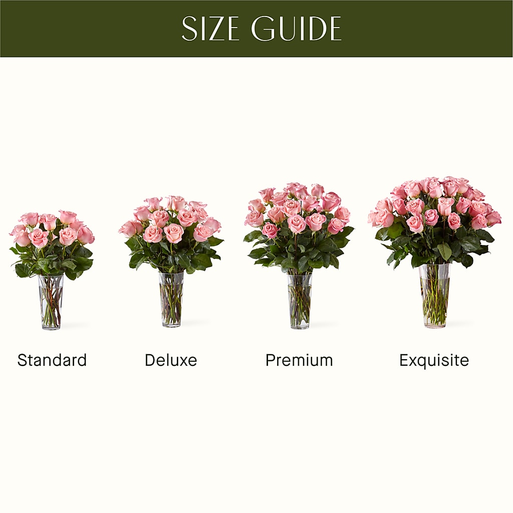 Long Stem Pink Rose Bouquet – LATE BLOOMERS FLORAL & GIFT LLC, Willmar MN
