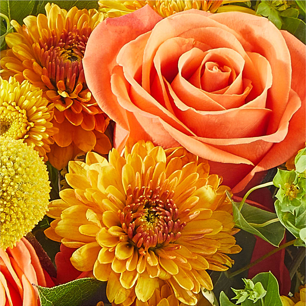 Gourdgeous Pumpkin – LATE BLOOMERS FLORAL & GIFT LLC, Willmar MN