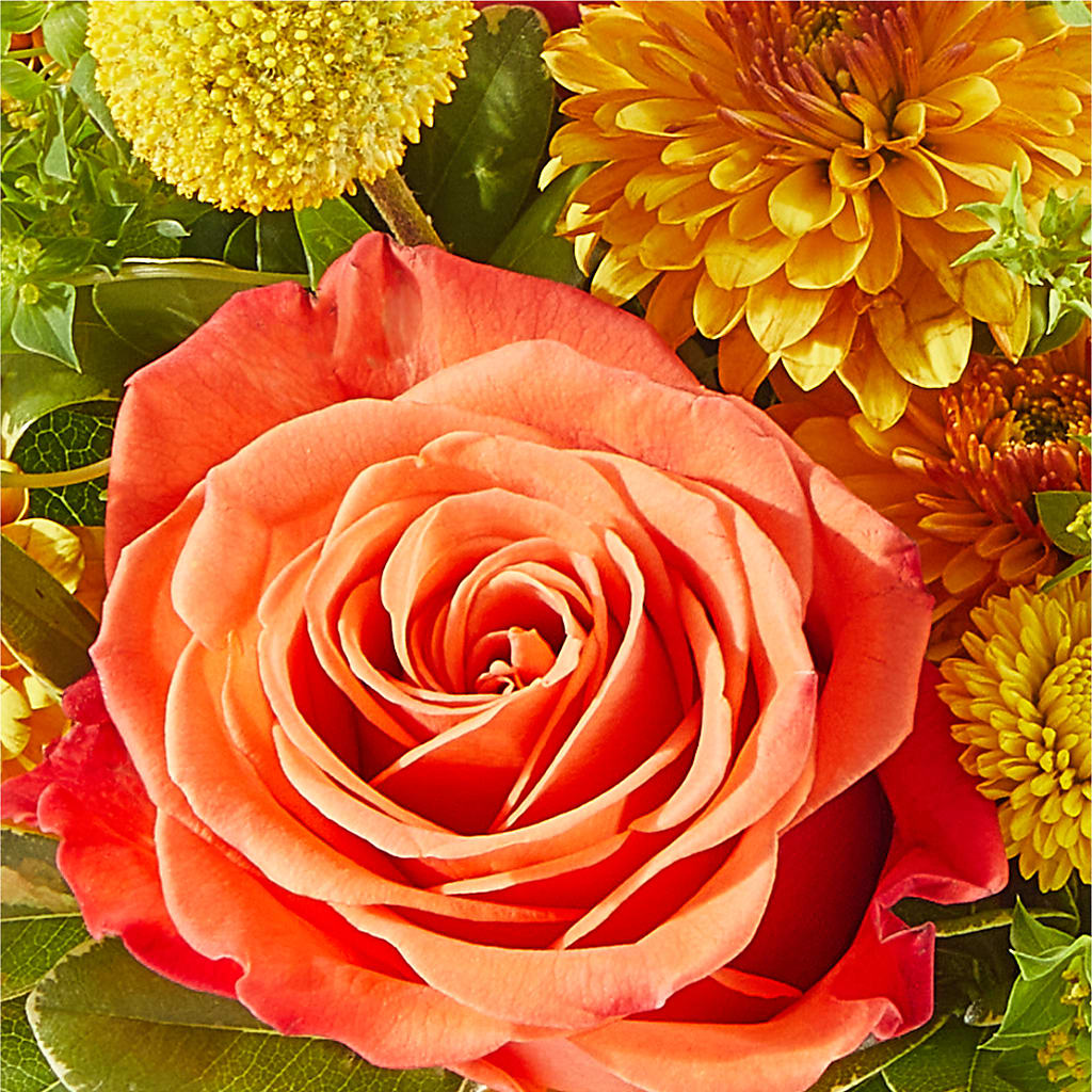 Gourdgeous Pumpkin – LATE BLOOMERS FLORAL & GIFT LLC, Willmar MN