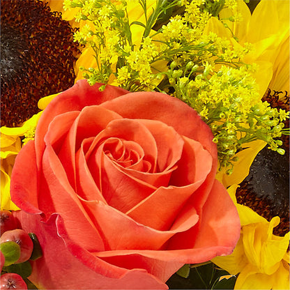 Pick of the Patch Pumpkin Bouquet – LATE BLOOMERS FLORAL & GIFT LLC, Willmar MN