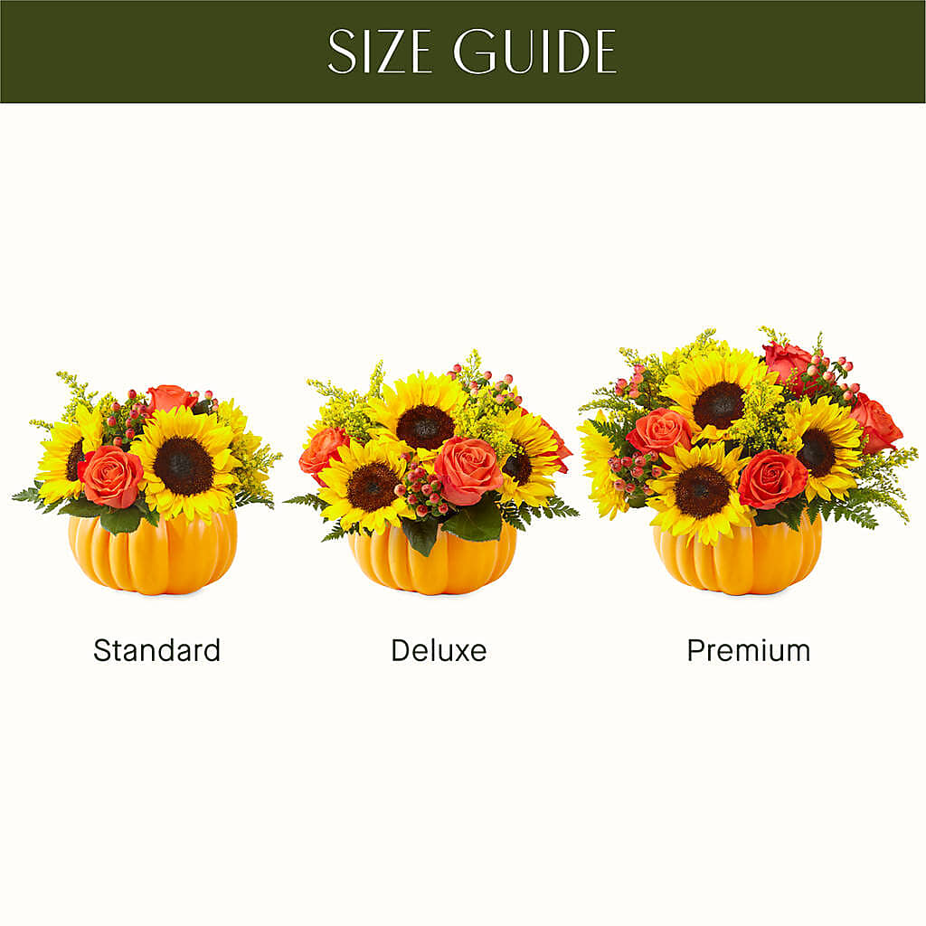 Pick of the Patch Pumpkin Bouquet – LATE BLOOMERS FLORAL & GIFT LLC, Willmar MN