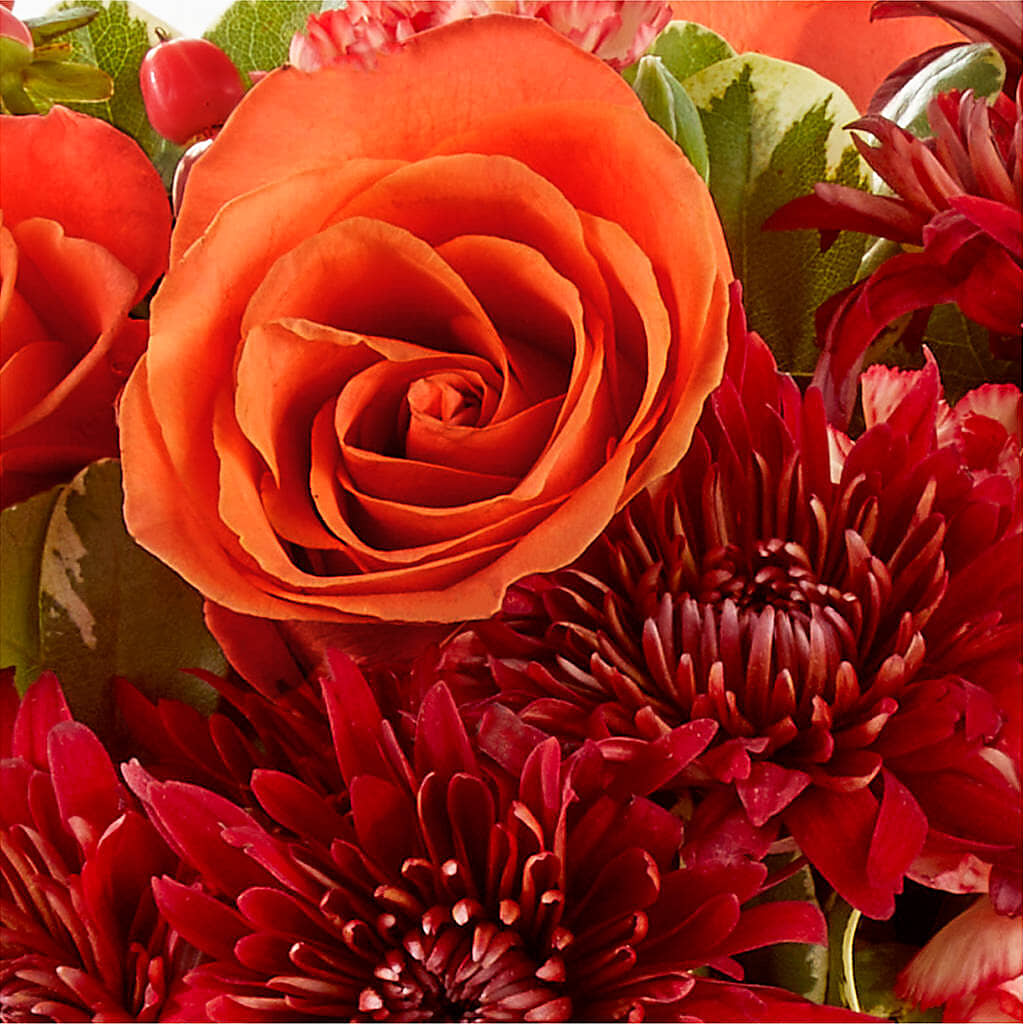 Autumn Air Pumpkin Bouquet – LATE BLOOMERS FLORAL & GIFT LLC, Willmar MN