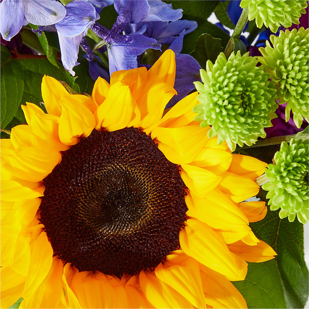 Catching Rays Bouquet – LATE BLOOMERS FLORAL & GIFT LLC, Willmar MN