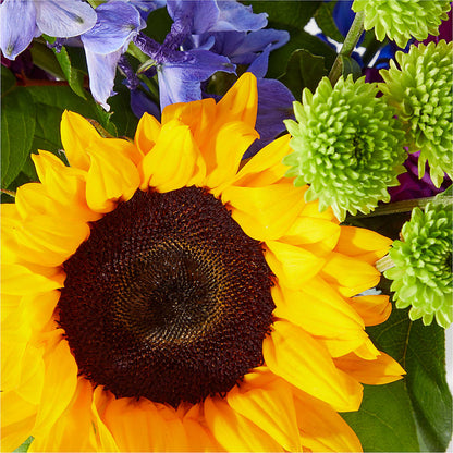 Catching Rays Bouquet – LATE BLOOMERS FLORAL & GIFT LLC, Willmar MN