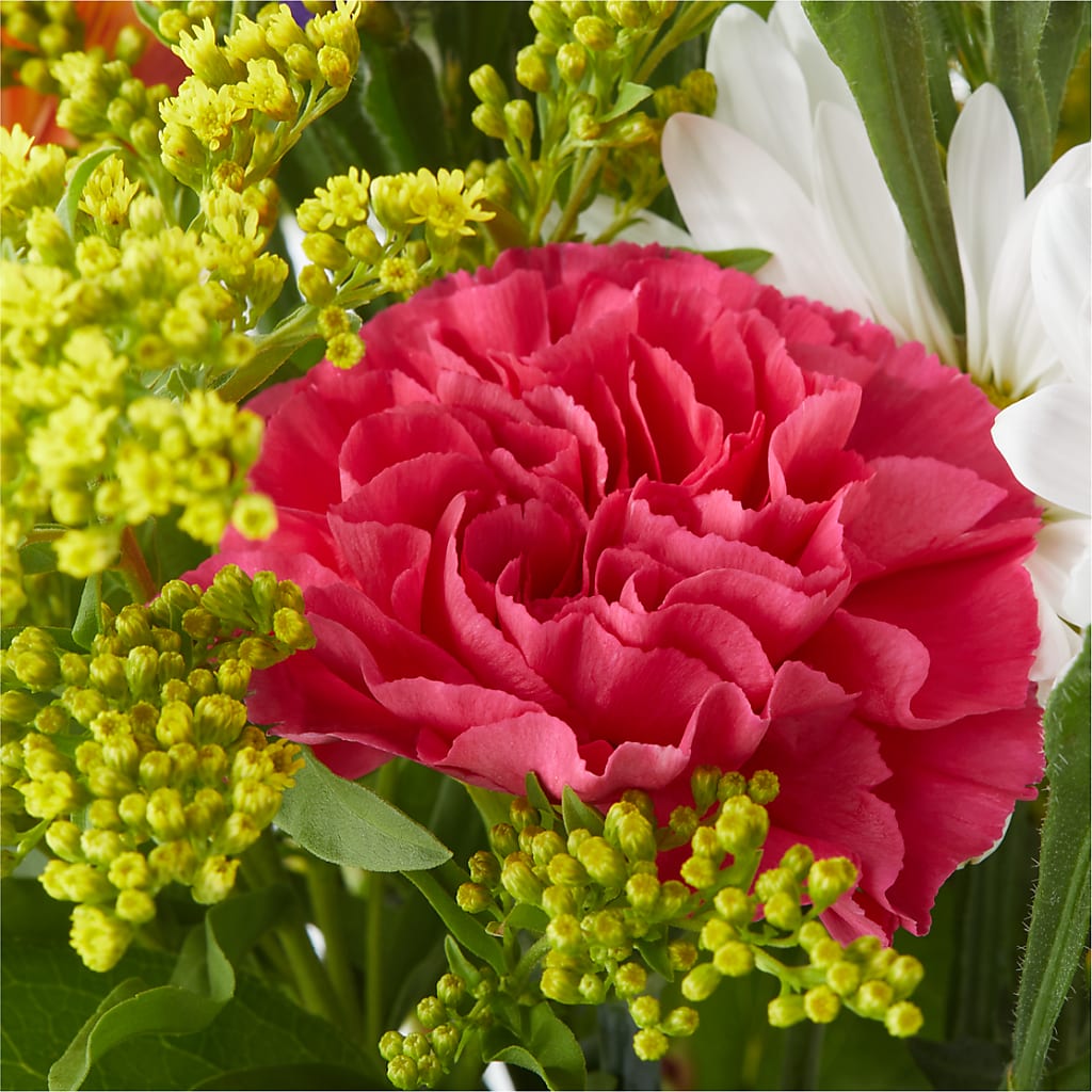 Oopsie Daisy Bouquet – LATE BLOOMERS FLORAL & GIFT LLC, Willmar MN