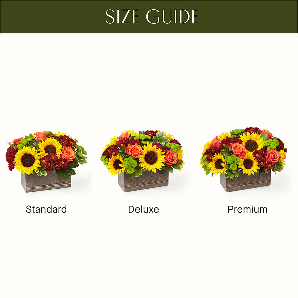 Happy Harvest Garden – LATE BLOOMERS FLORAL & GIFT LLC, Willmar MN