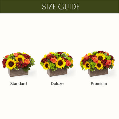 Happy Harvest Garden – LATE BLOOMERS FLORAL & GIFT LLC, Willmar MN