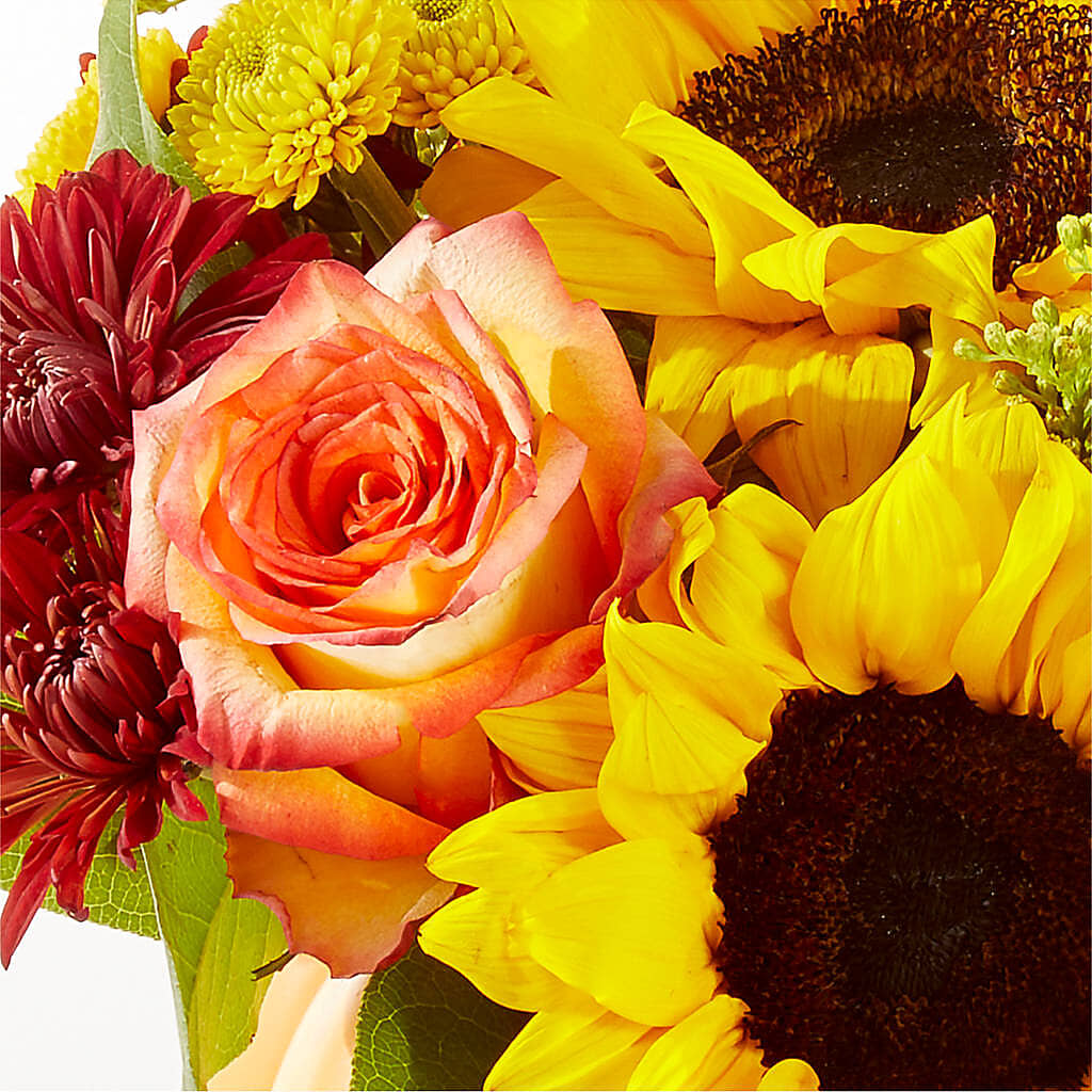 Golden Gourd Pumpkin Bouquet – LATE BLOOMERS FLORAL & GIFT LLC, Willmar MN