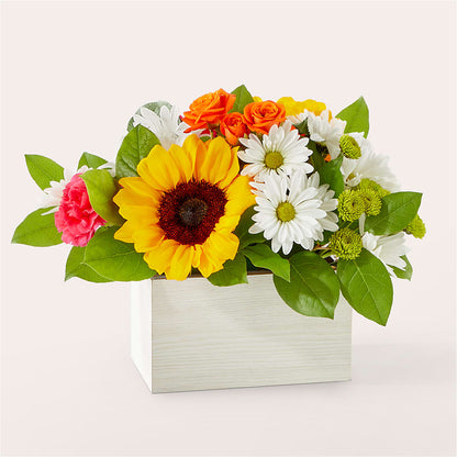 Sun-drenched Blooms Box Bouquet – LATE BLOOMERS FLORAL & GIFT LLC, Willmar MN