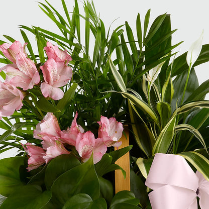 Living Spirit Dishgarden – LATE BLOOMERS FLORAL & GIFT LLC, Willmar MN