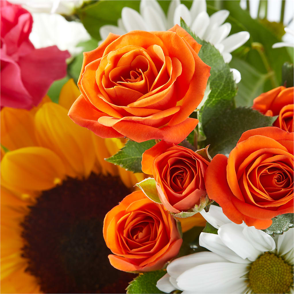Sun-drenched Blooms Bouquet – LATE BLOOMERS FLORAL & GIFT LLC, Willmar MN