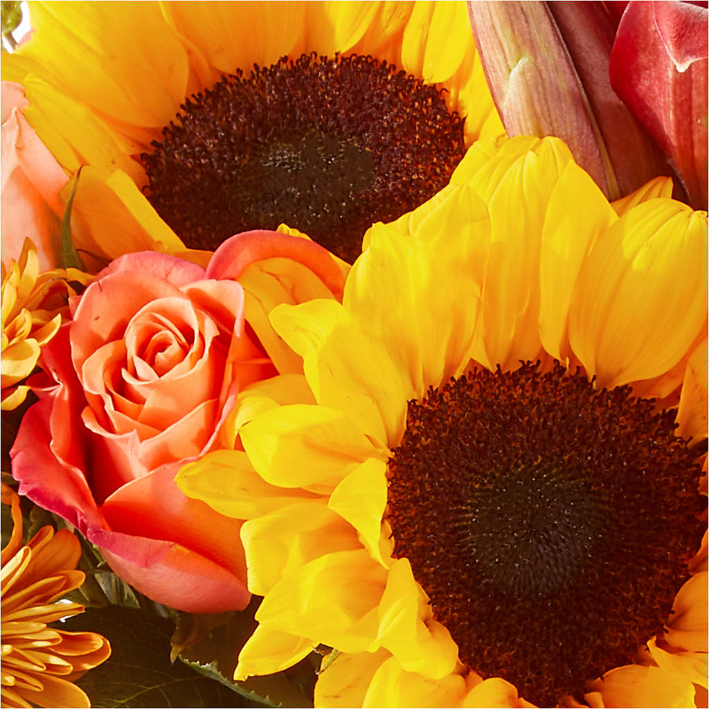 Acorn Lane Bouquet – LATE BLOOMERS FLORAL & GIFT LLC, Willmar MN