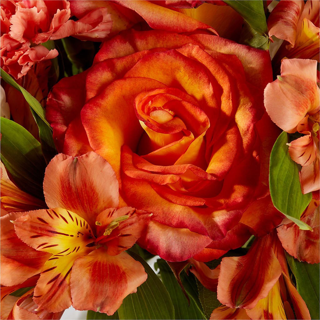 Apricot Glow Bouquet – LATE BLOOMERS FLORAL & GIFT LLC, Willmar MN