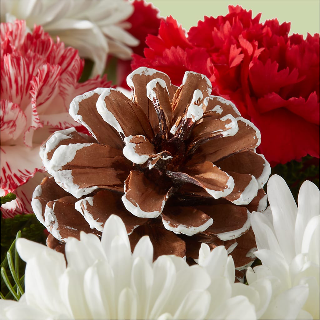 Candy Cane Lane Bouquet – LATE BLOOMERS FLORAL & GIFT LLC, Willmar MN