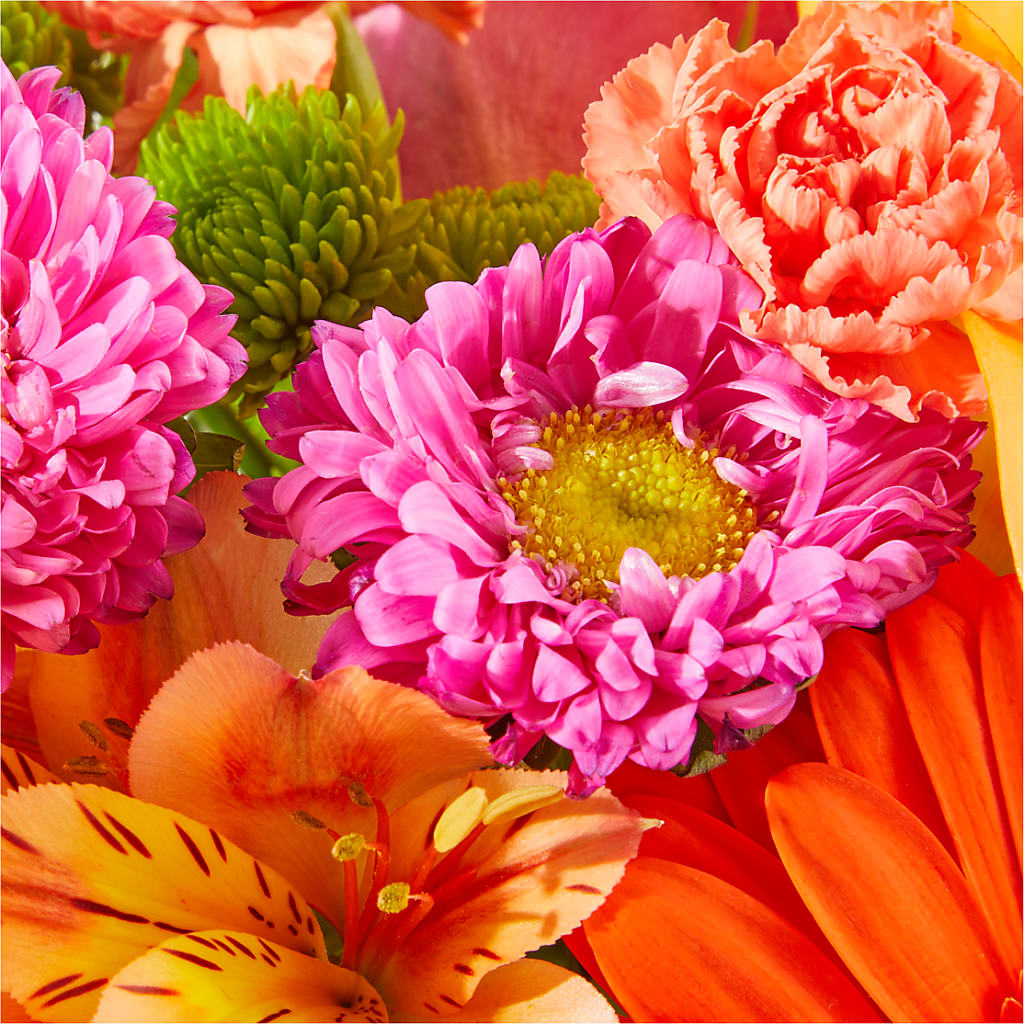 Soiree Bouquet – LATE BLOOMERS FLORAL & GIFT LLC, Willmar MN