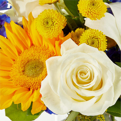 Stargazing Bouquet – LATE BLOOMERS FLORAL & GIFT LLC, Willmar MN