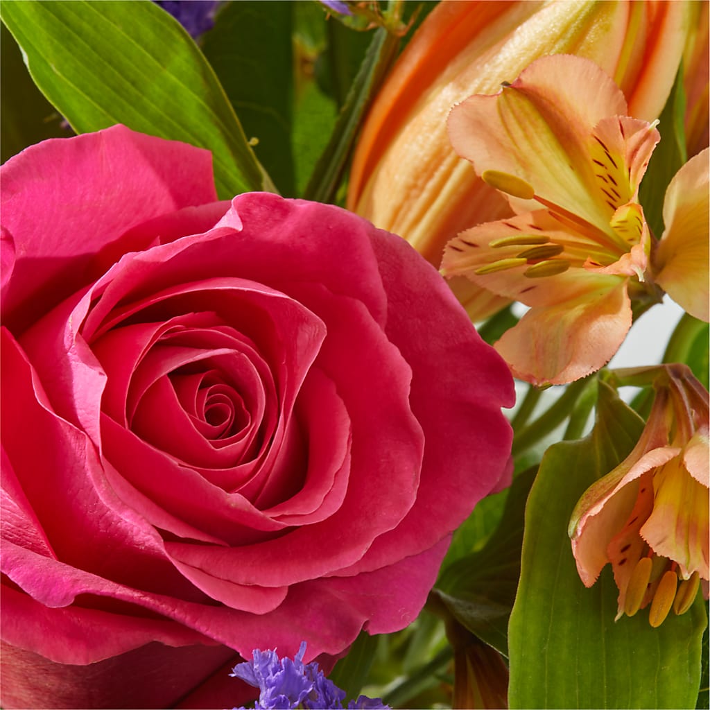 Joyful Bouquet – LATE BLOOMERS FLORAL & GIFT LLC, Willmar MN