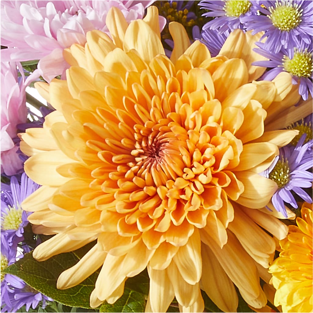 Countryside Bouquet – LATE BLOOMERS FLORAL & GIFT LLC, Willmar MN