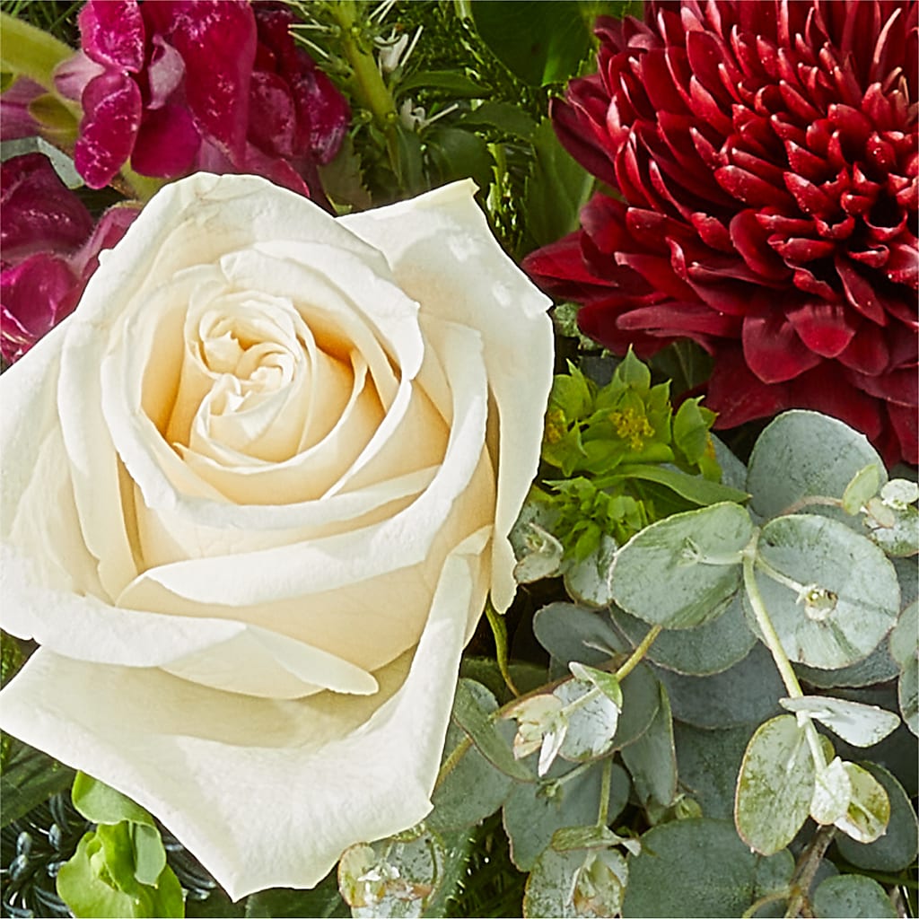 Cranberry Fizz Bouquet – LATE BLOOMERS FLORAL & GIFT LLC, Willmar MN